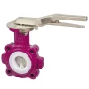 TFM lined butterfly valve | KP-1016